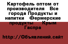 Картофель оптом от производителя - Все города Продукты и напитки » Фермерские продукты   . Крым,Гаспра